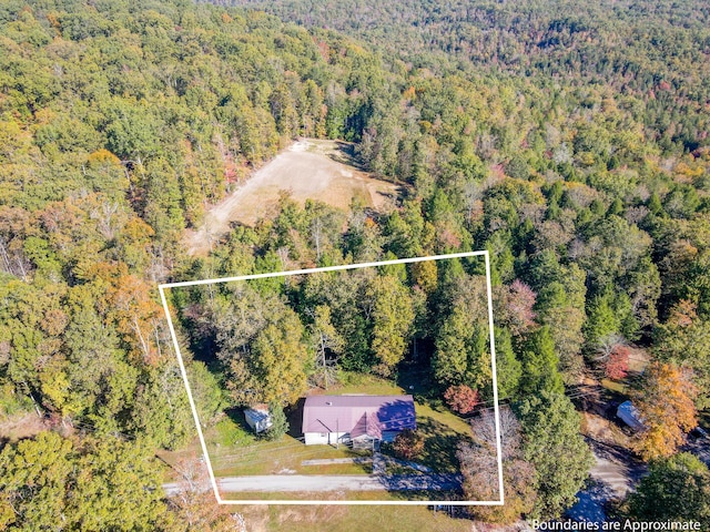 179 Bill Patrick Rd, Whitley City, KY 42653 - aerial view of property's location with a forest and property parcel outlined