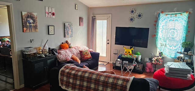 living room featuring wood-type flooring