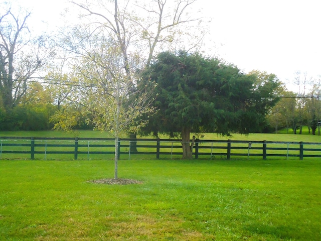 view of yard featuring a rural view