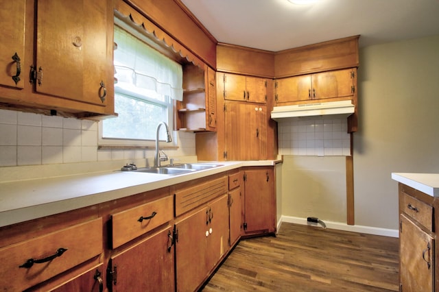 kitchen featuring dark wood-type flooring, sink, and tasteful backsplash