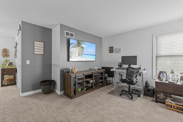 office space featuring a textured ceiling and light colored carpet