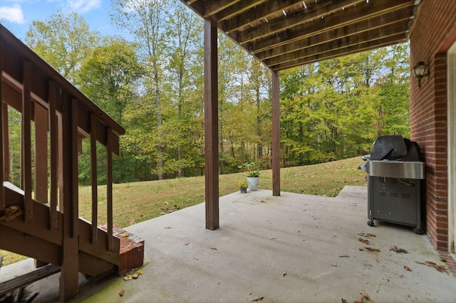 view of patio / terrace with grilling area