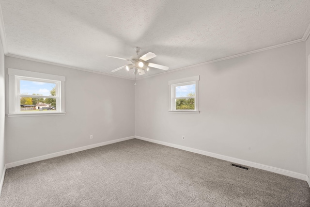 empty room featuring a textured ceiling, carpet flooring, and a wealth of natural light