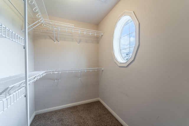 spacious closet featuring carpet and radiator heating unit