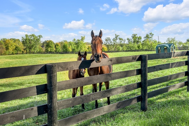 view of gate with a yard and a rural view