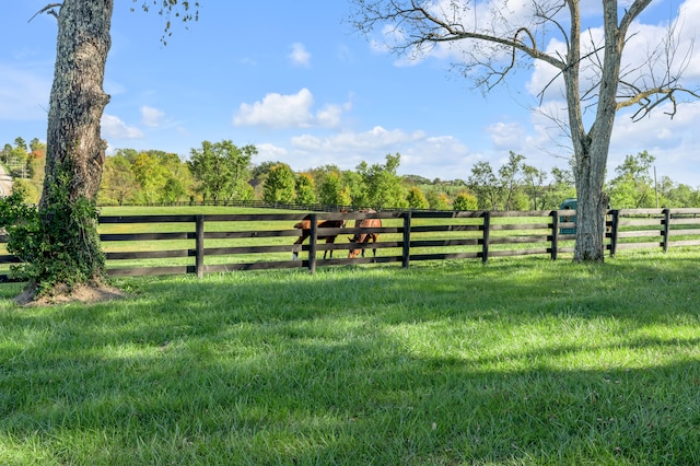 view of gate with a lawn and a rural view