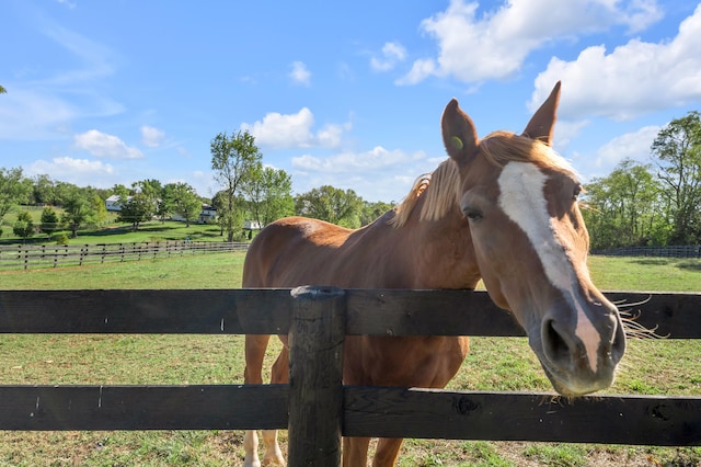 view of stable featuring a rural view