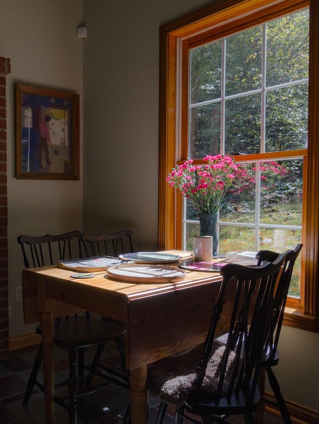 dining area featuring baseboards and plenty of natural light