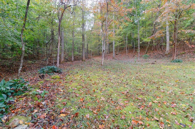 view of yard with a view of trees