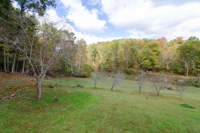 view of yard featuring a wooded view