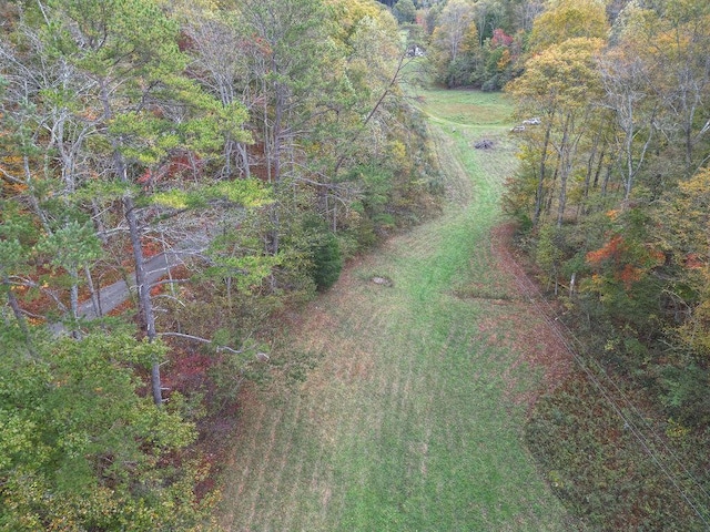 aerial view with a view of trees