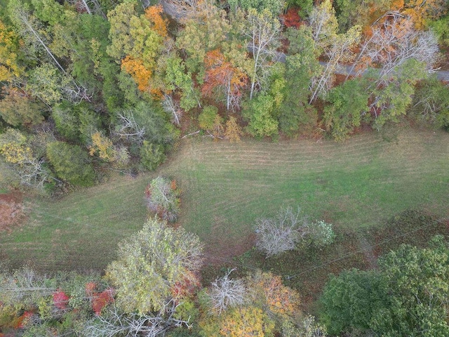 aerial view with a wooded view