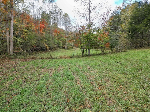 view of yard with a wooded view