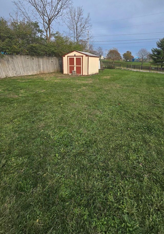 view of yard with a storage shed