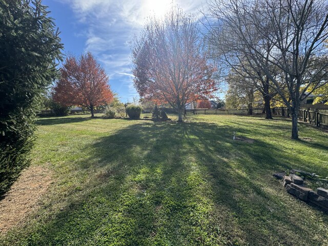 view of yard