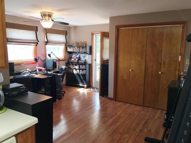 office area featuring wood-type flooring and ceiling fan