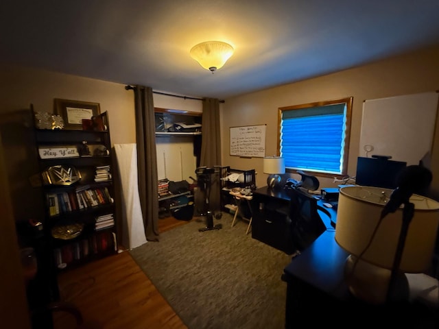 office featuring wood-type flooring