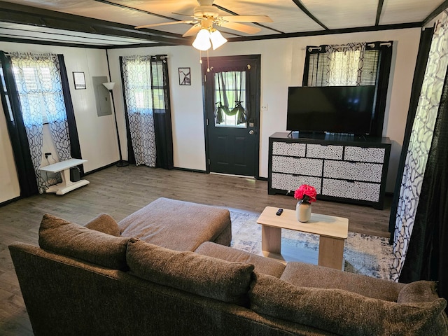 living room with a wealth of natural light, wood-type flooring, and ceiling fan