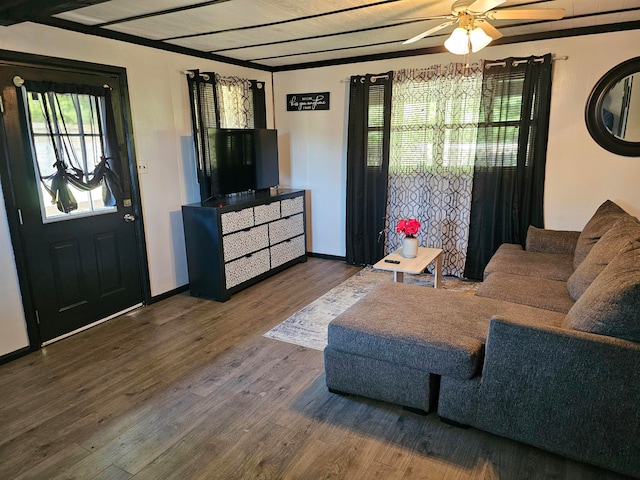 living room featuring ceiling fan and hardwood / wood-style flooring