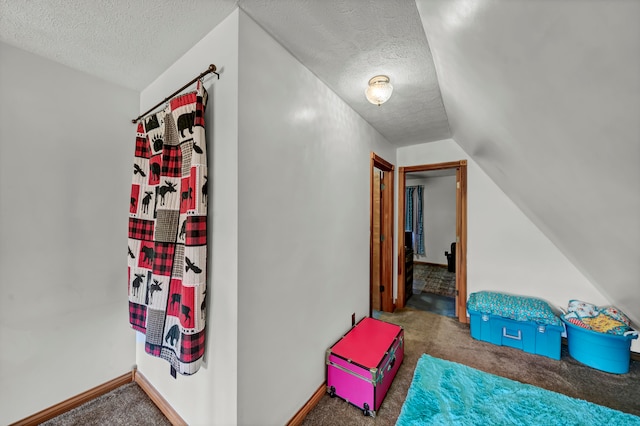 additional living space with lofted ceiling, a textured ceiling, and carpet flooring