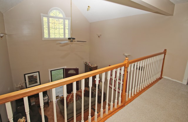 stairs featuring lofted ceiling and carpet floors