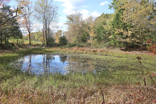 view of water feature