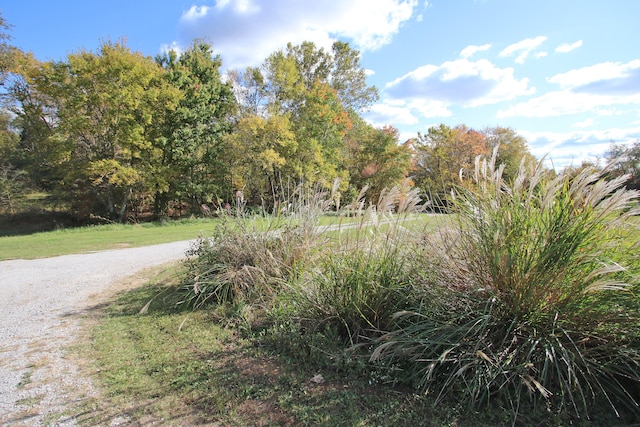 view of road