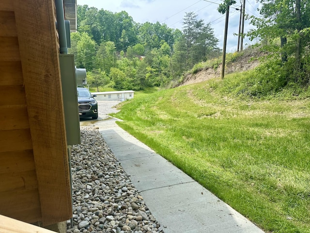 409 Freeman Branch Rd, East Bernstadt, KY 40729 - view of yard