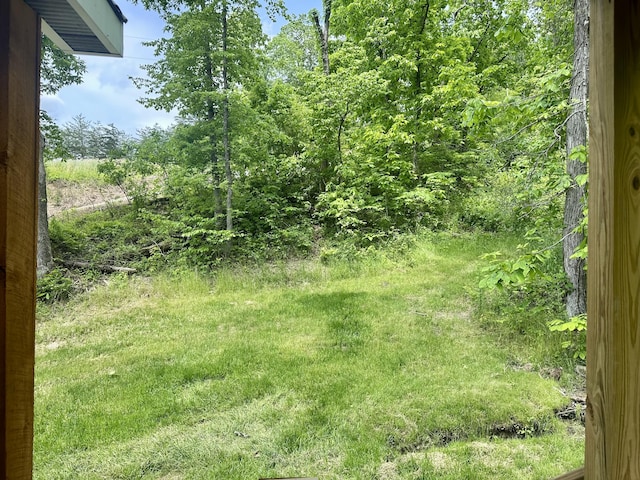 409 Freeman Branch Rd, East Bernstadt, KY 40729 - view of yard