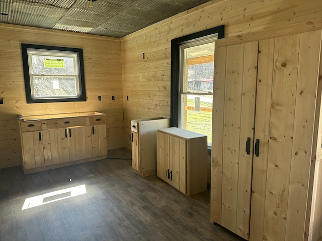 interior space with wood walls and wood finished floors