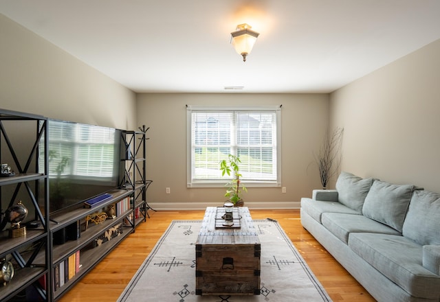 living room featuring light wood-type flooring