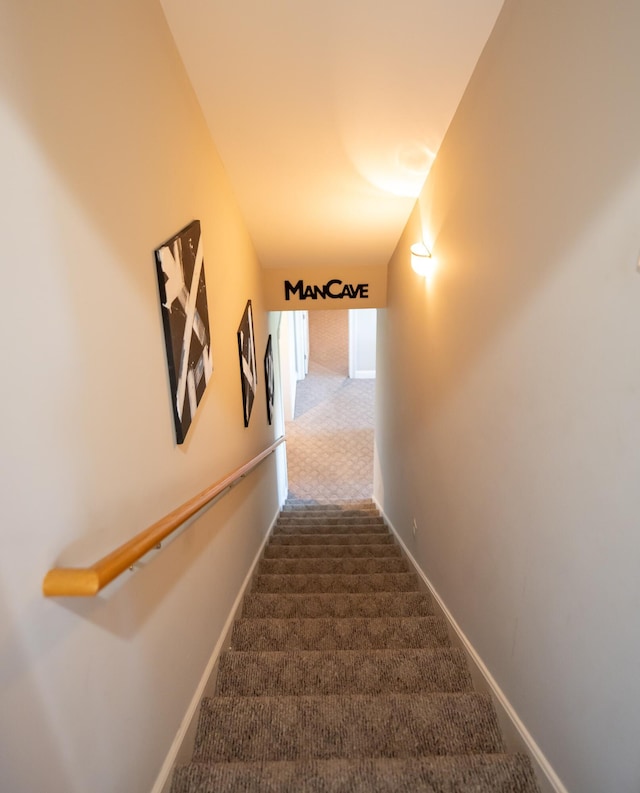 stairway featuring carpet flooring