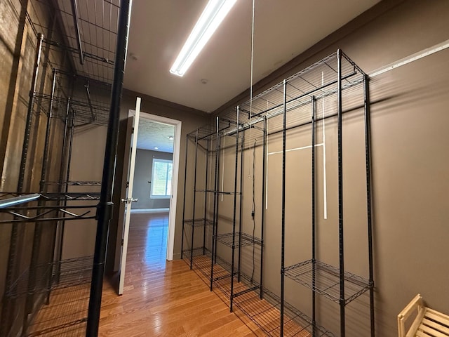 walk in closet featuring hardwood / wood-style flooring