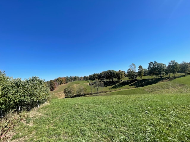 view of yard with a rural view