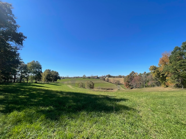 view of yard with a rural view