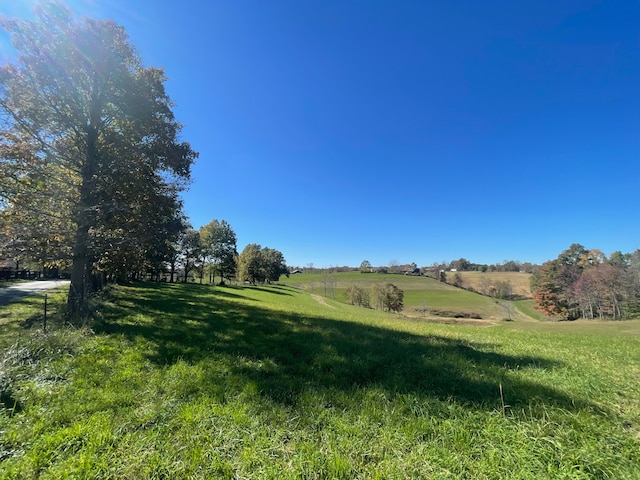 view of yard featuring a rural view