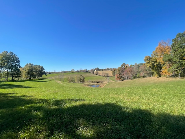 view of yard featuring a rural view