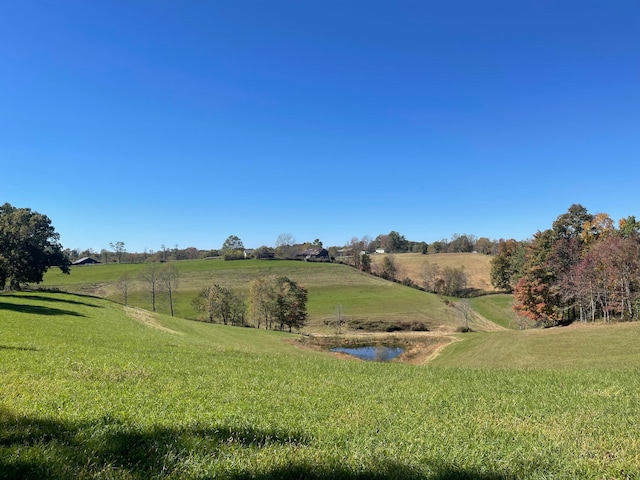 view of yard featuring a rural view