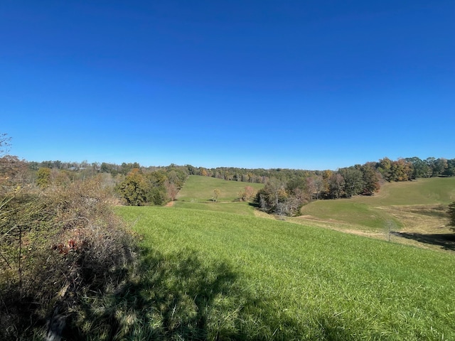 view of local wilderness with a rural view