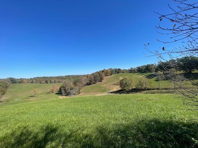 view of local wilderness featuring a rural view