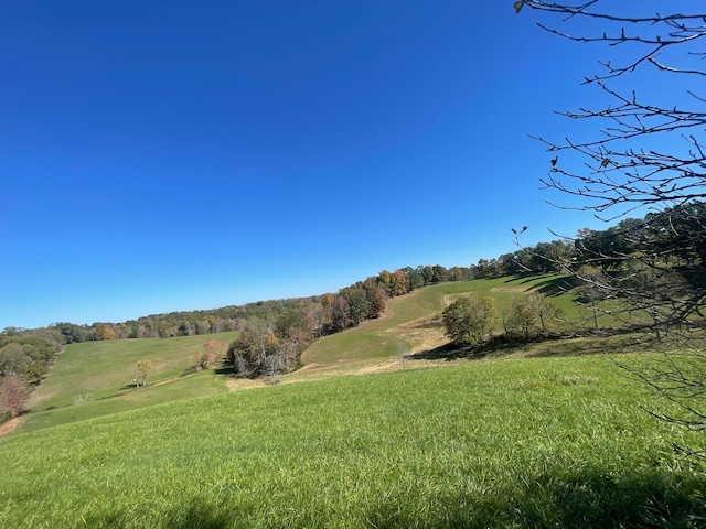 view of yard featuring a rural view