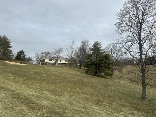 view of local wilderness