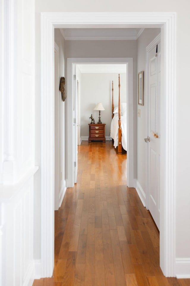 hall featuring crown molding and hardwood / wood-style flooring