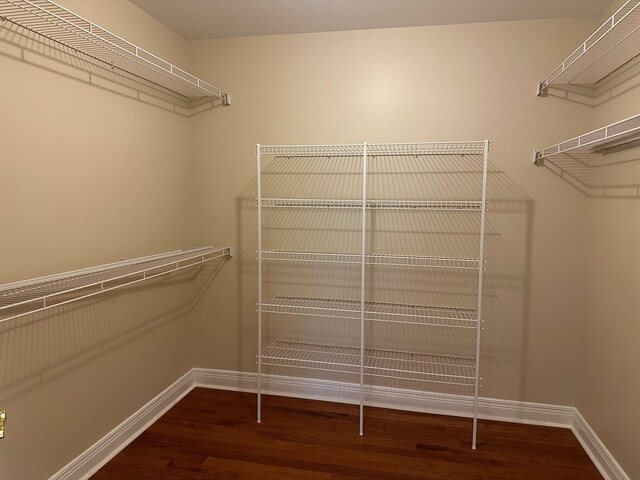 walk in closet with hardwood / wood-style flooring