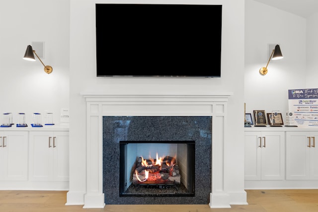 room details with wood-type flooring and a fireplace