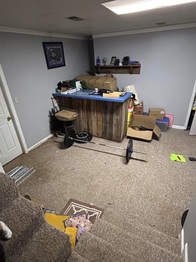 interior space with carpet and crown molding