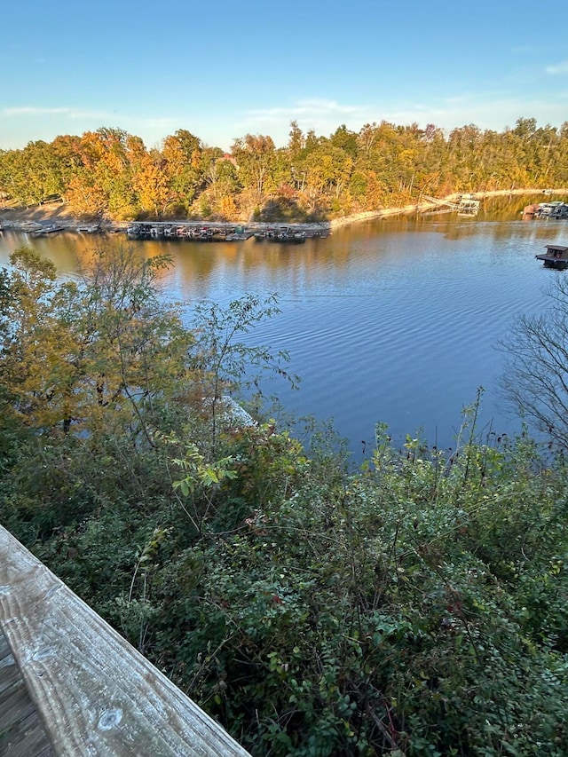 view of water feature