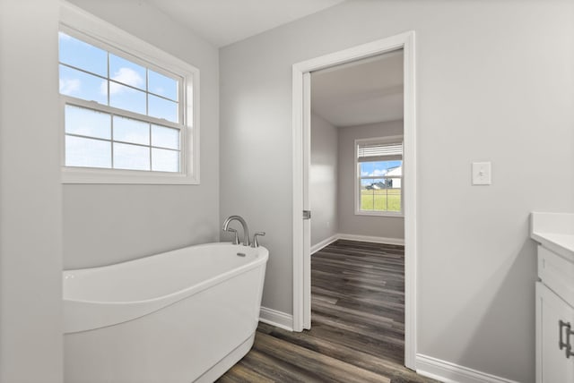 bathroom with wood-type flooring, a bathtub, and vanity