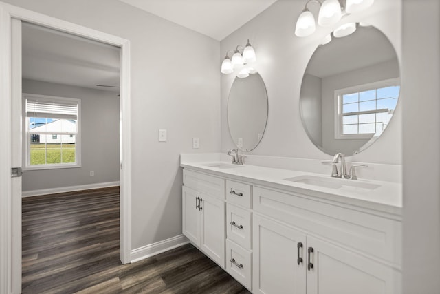 bathroom with hardwood / wood-style flooring and vanity