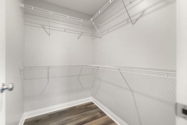 walk in closet featuring dark wood-type flooring